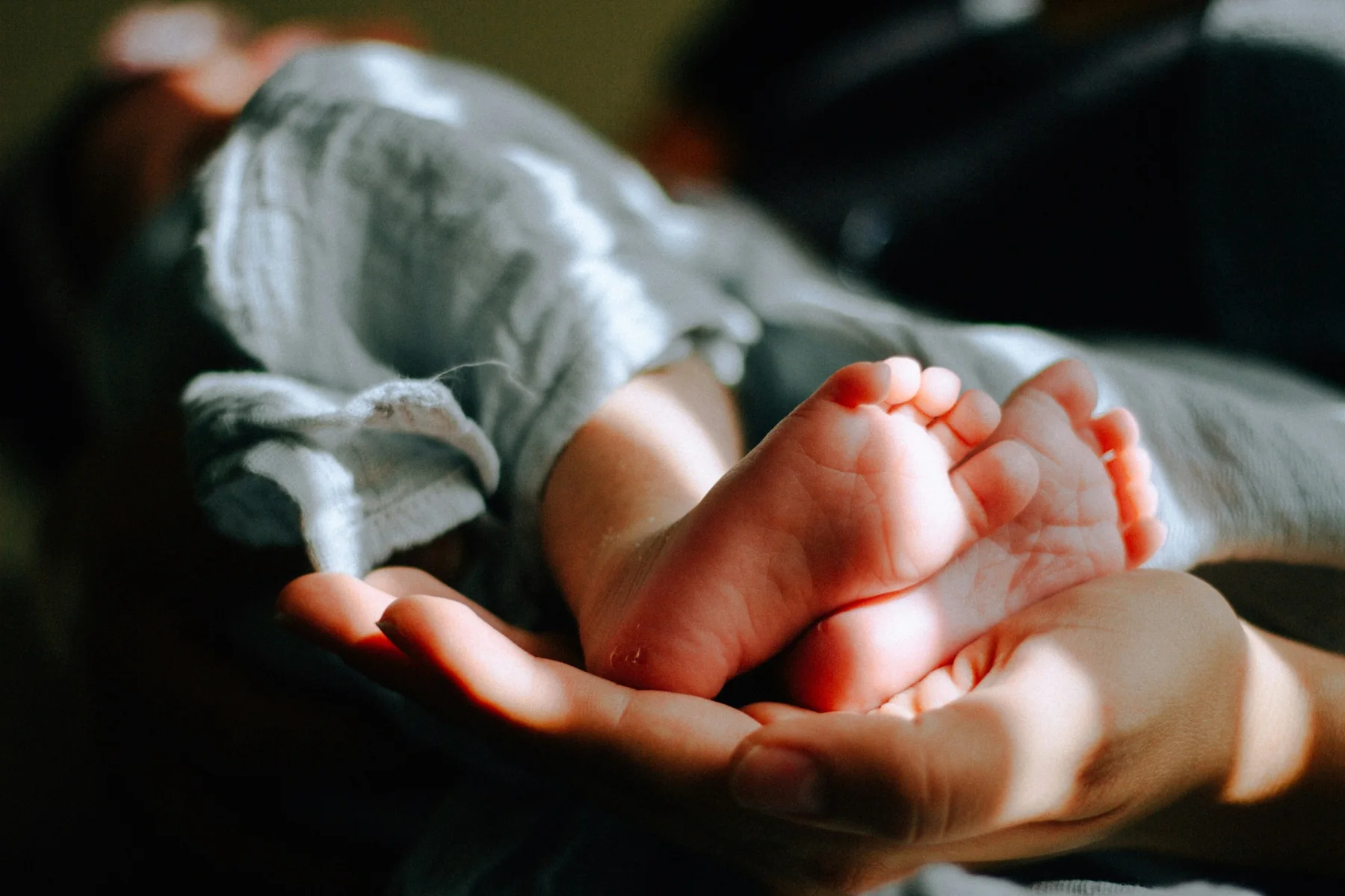 Newborn baby feet portfolio image